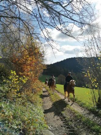 Ausritt im Muehlviertler Kernland (c) Reitverein Stampfental