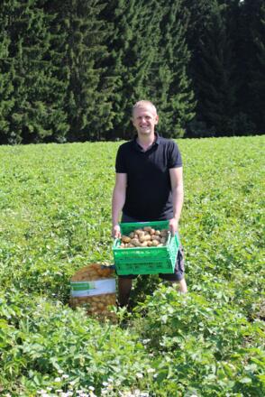 Kartoffeln vom Biohof Übermasser in Grünbach
