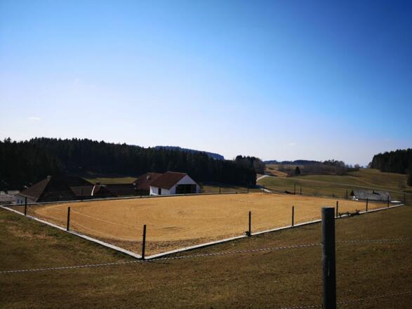 Bauernhof Auer_Reitplatz