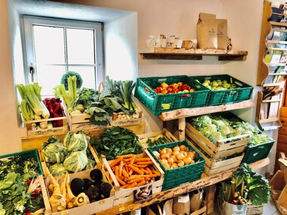 Gemüse beim Görglgut hinter den Eichen in Hagenberg