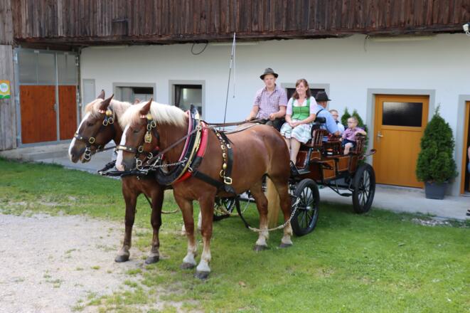 Kaltenberger Kutschen- und Schlittenfahrten