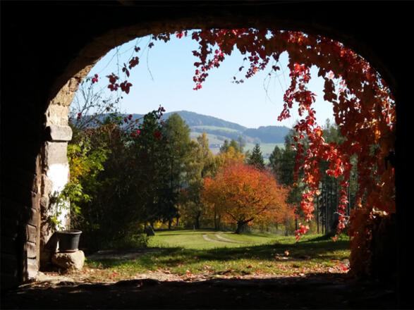 Ausblick von Zaunreiter Akademie