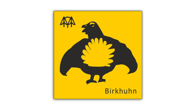 Birkhuhn.jpg