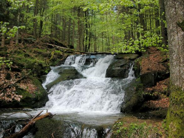 Nagelsteiner Wasserfälle bei normalem Wasser