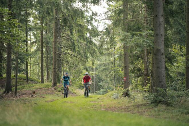 ZweiMountainbikerWald_OberoesterreichTourismusMuehlviertlerAlmFreistadtMoritzAblinger.jpg