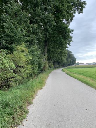 Rückenwind Panoramatour - Naturdenkmal Wäldchen bei Maushof (1).JPEG