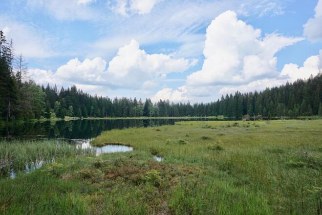 Blick über mittlere schwimmende Insel zum Nordufer