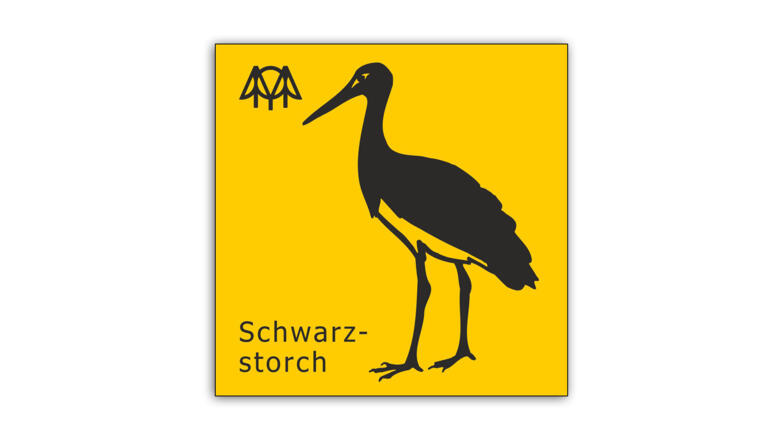 Schwarzstorch