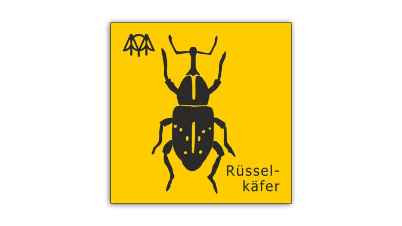 Rüsselkäfer