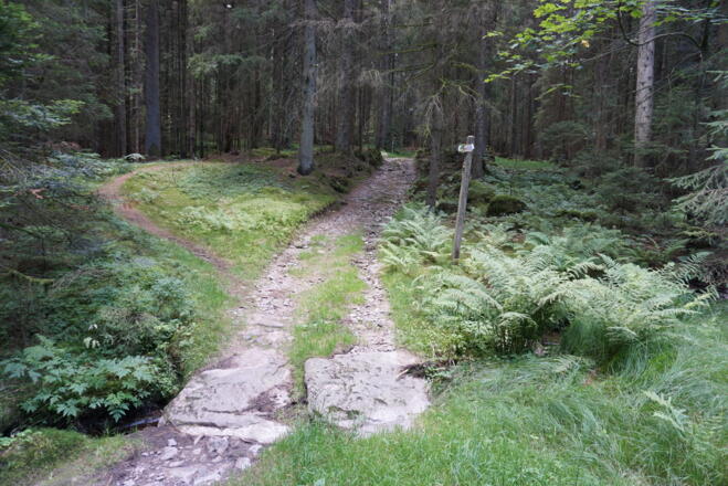 Wegstück zum Riedbachtal