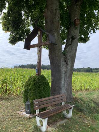Rückenwind Panoramatour - Raitbach (1).JPEG