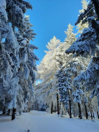 nordic aktive Zentrum Schiefergebirge