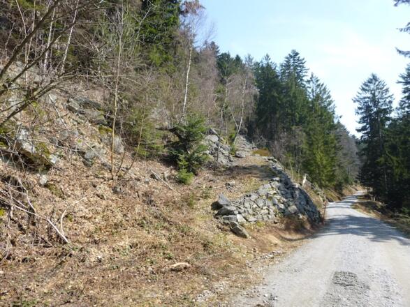 Hier geht es links auf dem Pfad zum Rauhen Kulm