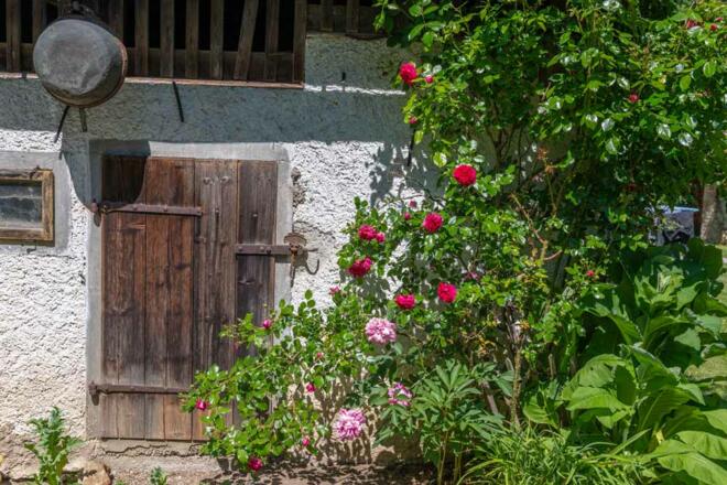 Ferienhaus Naschgarten in Bad Goisern mit Eingang zum Schuppen