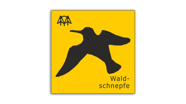 Waldschnepfe