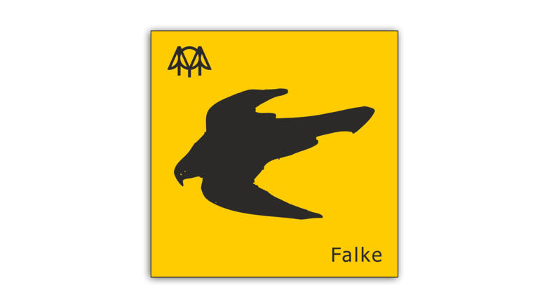 Falke.jpg