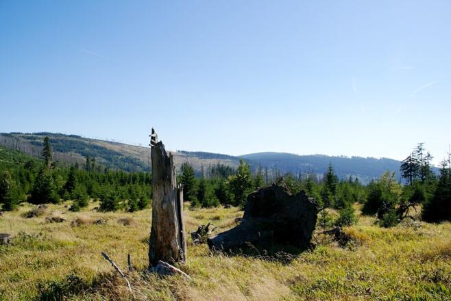 Lackenberg und Großer Falkenstein