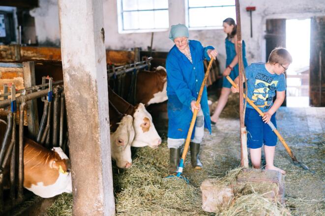 Kinderwerkstatt am Biobauernhof Stadler