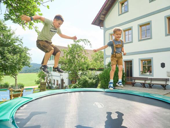 Kalb am Biobauernhof Stadler