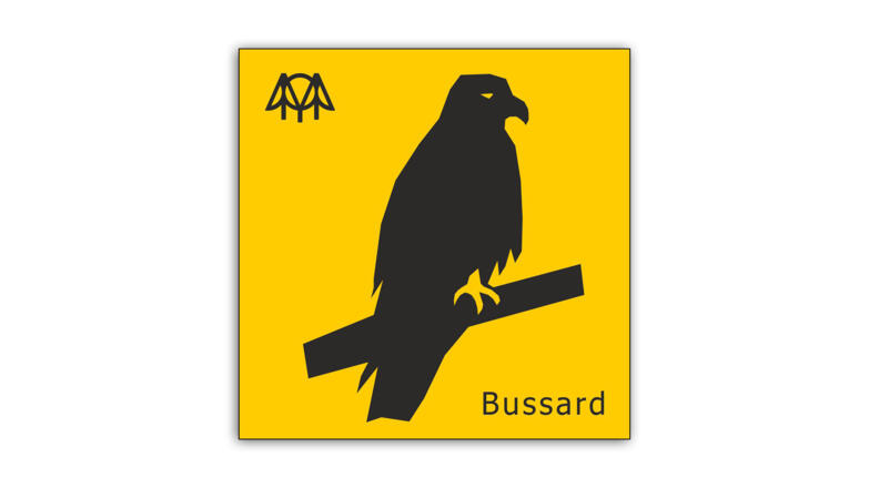 Bussard.jpg