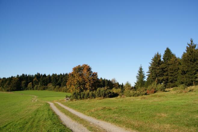 Wanderweg-Beginn zur Käsplatte