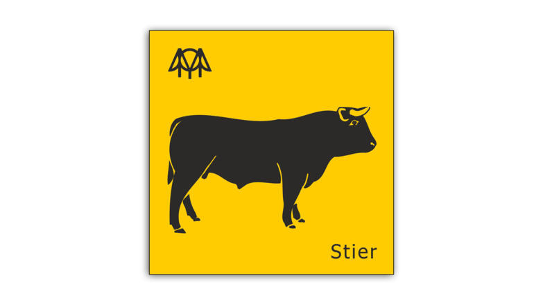 Stier