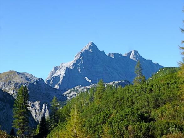 Watzmannsüd- und Mittelspitze vom Sagerecksteigende