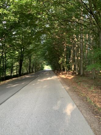 Rückenwind Panoramatour - Wolfsberg (2).JPEG