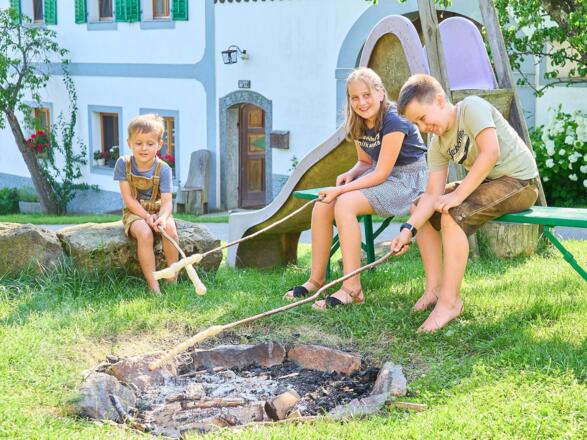 Ziege am Biobauernhof Stadler