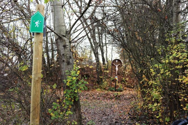 Panoweg Ost_1 ©Stadt Pfaffenhofen.jpg