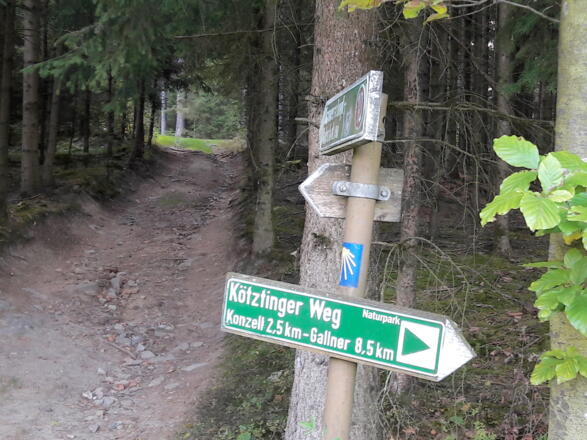 Kreuzung Wanderweg 10 und Kötztinger Weg