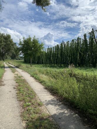 Flora und Fauna zwischen Gaden und Untermettenbach
