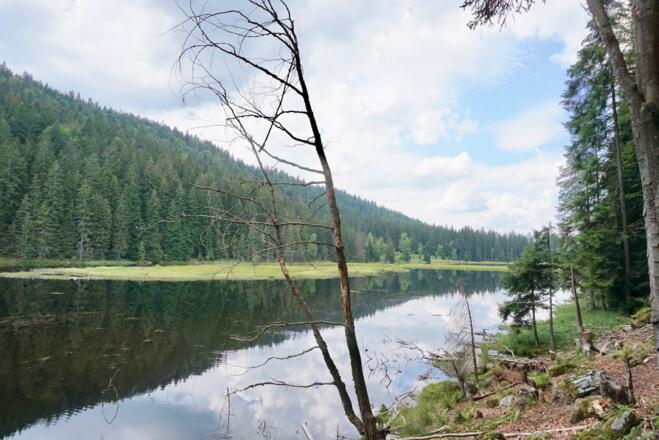 Blick vom Ostufer auf den See