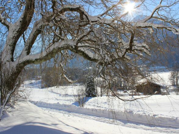 Winter