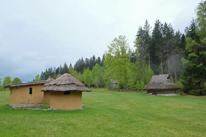 Wildniscamp