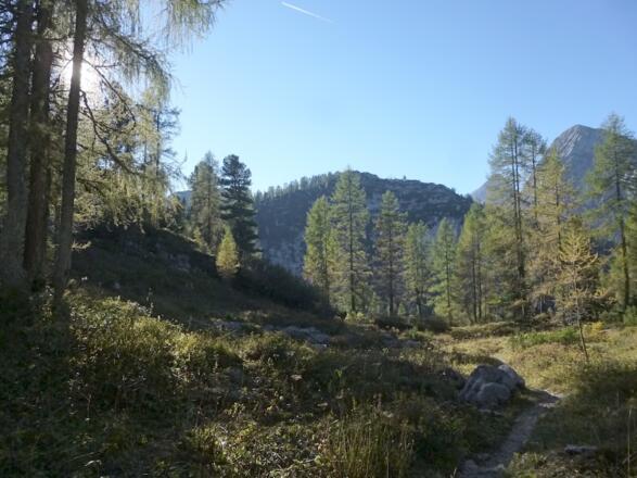 Letztes Stück Sagerecksteig