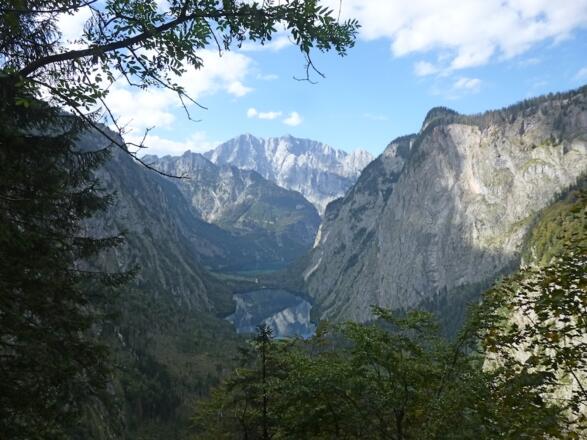 Watzmann und Obersee vom Röthsteig