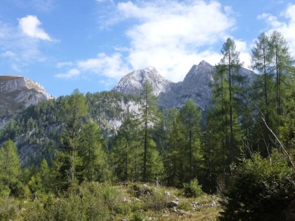 Aussicht zum Karlesberg