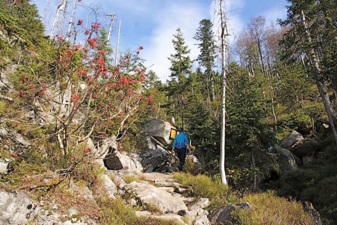 Im Teufelsloch