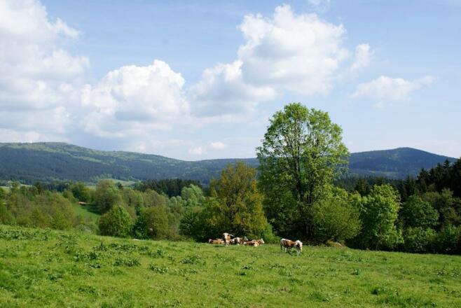 Hirschenstein und Schopf von Hilm