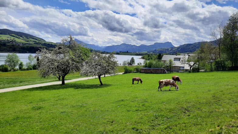 Landschaft