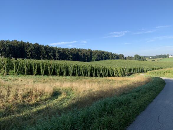 Feierabendstrampler Ost - 03_Landschaft zwischen Siebenecken und Frickendorf (3).JPEG