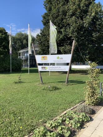 Hopfen entdecken - Hüll