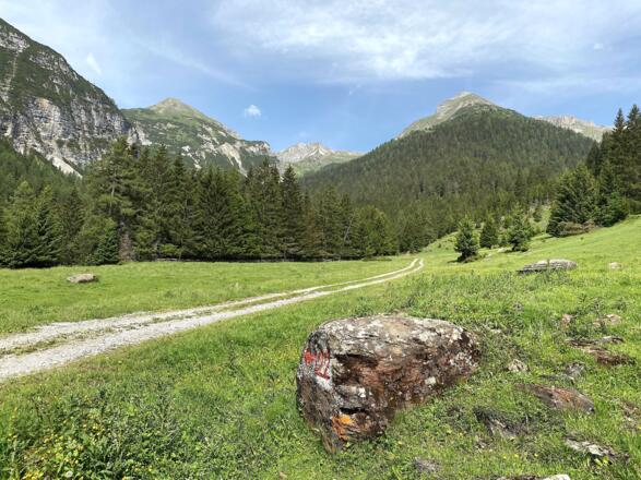 Nach der ersten steileren Auffahrt gelangt zu einem flachen Boden. Hier trennen sich die Routen in Richtung Blaserhütte und Padasterjochhaus.