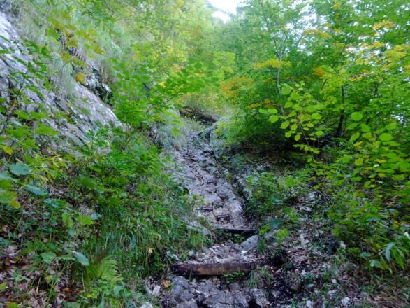 Sagerecksteig mit Klammern