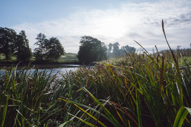Scheyern, Kloster-Weiher,