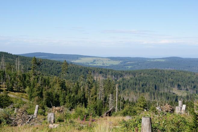 Blick vom Lackenbergsattel nach Böhmen