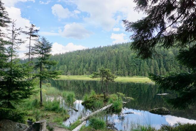 Blick vom Westufer auf den See mit der kleinen schwimmenden Insel