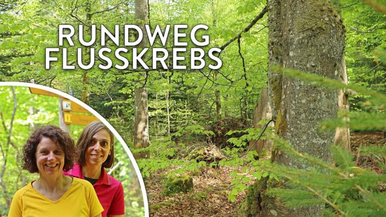 Unterwegs am Rundweg Flusskrebs - Touren-Tipp im Nationalpark Bayerischer Wald