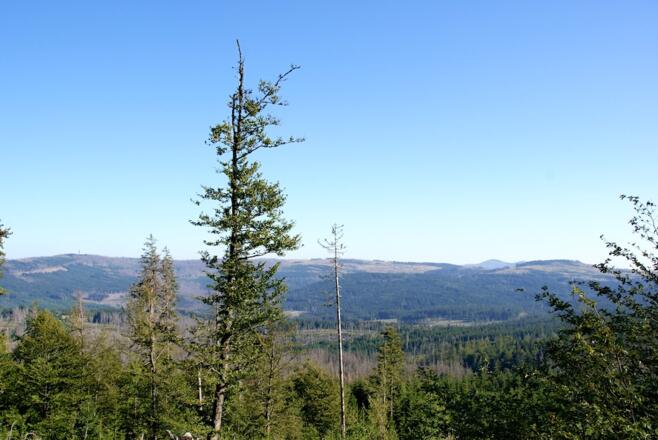 Blick vom Steindlbergsattel zum Mittagsberg und Rachel